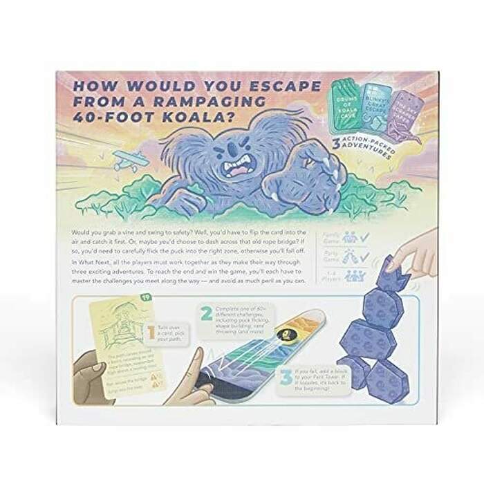 What Next? The Pick Your Path Adventure Game