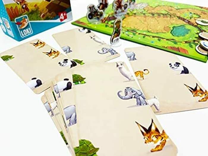 Zoo Run