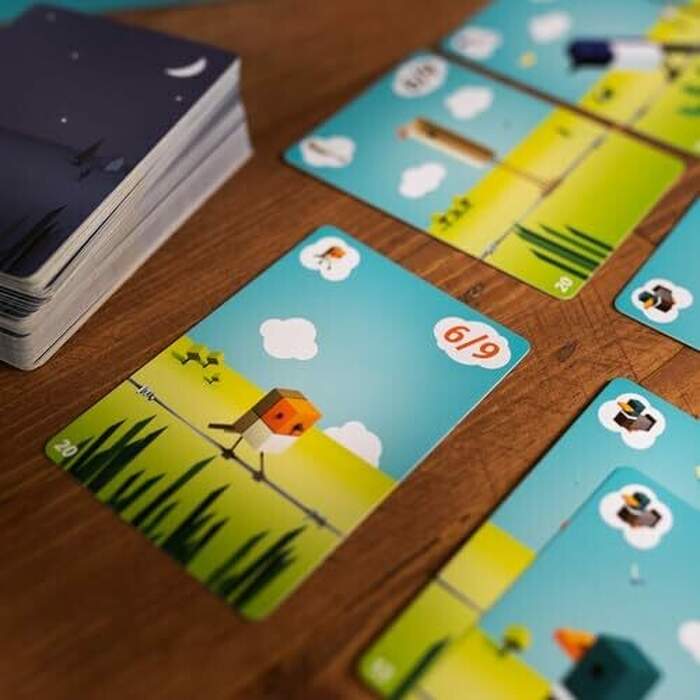 Cubirds