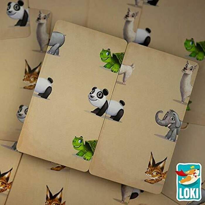 Zoo Run