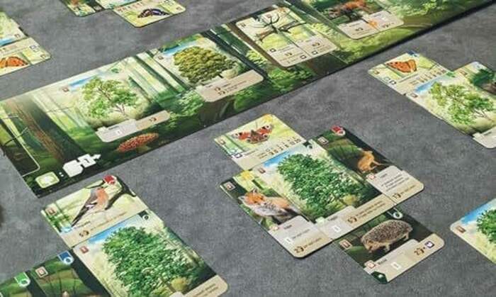Forest Shuffle